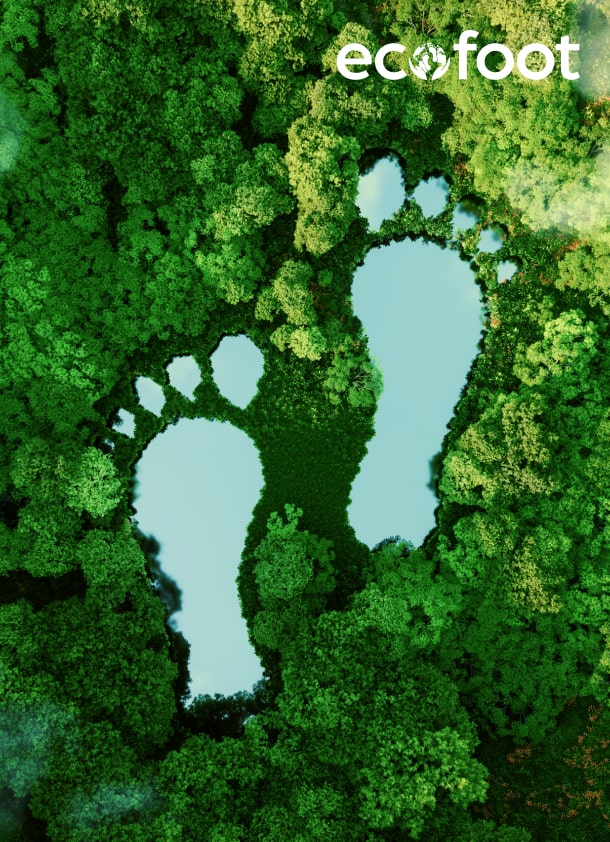 work-ecofoot-img